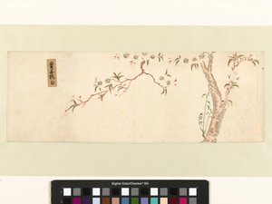 Blomstrende kirsebærtræ af Hiroshige (I) , Utagawa (attributed to)