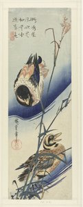 Ænder nær siv af Hiroshige (I) , Utagawa