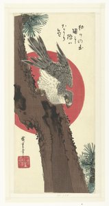 Høg på fyrretræ af Hiroshige (I) , Utagawa