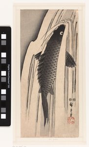 Karper svømmer mod et vandfald af Hiroshige (I) , Utagawa