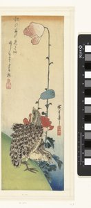 Vagtel og valmuer af Hiroshige (I) , Utagawa