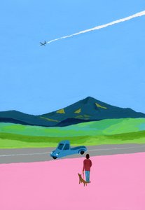 Fly og pick up lastbil og hund og eng af Hiroyuki Izutsu