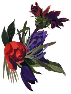 Tulipaner og dahliaer.