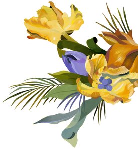 Gul tulipan