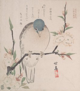 Spring Rain Collection Harusame shu, vol. 3: Bjergdue- og ferskenblomster, ca. 1820., ca. 1820.