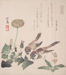 Spring Rain Collection Harusame shu, vol. 3: Spurve og mælkebøtter, ca. 1820., ca. 1820.