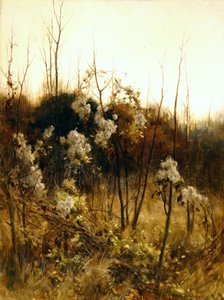 Rejsendes glæde af Hon. Walter John James