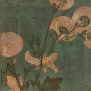 Krysantemum, Edo-periode, slutningen af det 16.-begyndelsen af det 17. århundrede.