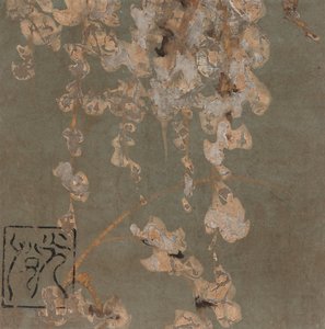 Blåregn blomstrer, Edo-periode, begyndelsen af det 17. århundrede.