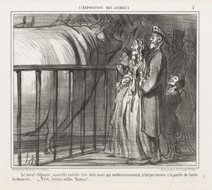 Udstilling af dyr: Pl. 5, Ko-elefanten, ny variant.... af Honoré Daumier