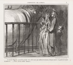 Udstilling af dyr: ko-elefanten, ny variant af Honoré Daumier