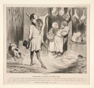 Rejseindtryk af af Honoré Daumier