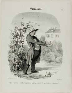 "Røver af en majbille ... det er dig, der fortærer al min ejendom. Du skal gå til grunde gennem min hånd!", plade 32 fra Pastorales af Honoré Victorin Daumier