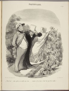 Nå da!... så plukker hun en rose til mig... som om roser var til for at blive plukket!... af Honoré Daumier