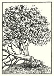 Illustration til Bjergprædikenen (kobberstik) af Horace J. Knowles