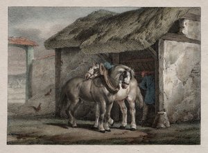 Gård Hest af Emile Jean Horace Vernet
