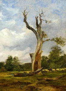 The Blasted Tree, ca. 1838 (olie på lærred)