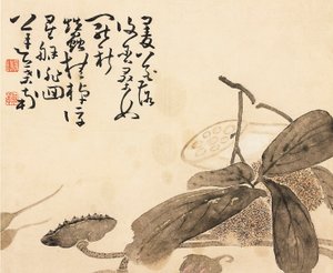 Malet albumblad - Lotusplante, 1700-tallet