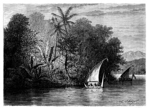 Et syn i Celebes, Indonesien, 1800-tallet.