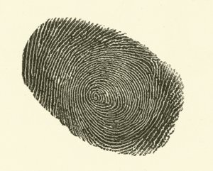 Fingeraftryk (gravering)