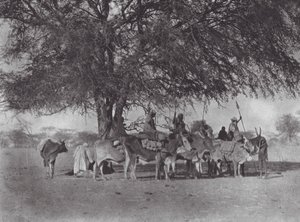 Afrika: Karavane af okseryttere på Den Hvide Nil (s/h-foto) af Hugo Adolf Bernatzik