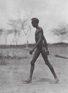 Afrika: Dinka-kriger med spyd (s/h-foto)