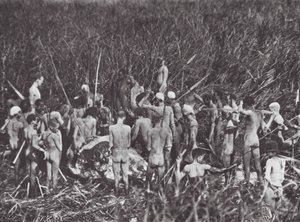 Afrika: Nuer-jægere med elefantkrop (s/h-foto) af Hugo Adolf Bernatzik
