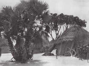 Afrika: Shilluk-landsby ved Den Hvide Nil (s/h-foto) af Hugo Adolf Bernatzik