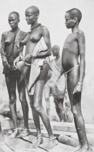 Sudansk negerpige (s/h-foto) af Hugo Adolf Bernatzik