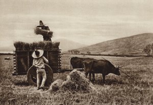 Mexico: Landmænd høster hvede (s/h-foto) af Hugo Brehme