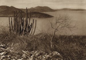 Mexico: Nær Baja Californias kyst (s/h-foto) af Hugo Brehme