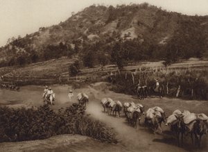 Mexico: Transportknudepunkt i det indre af landet (s/h-foto) af Hugo Brehme