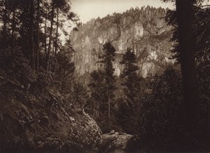 Mexico: La Canada, Contreras, D F (s/h-foto)