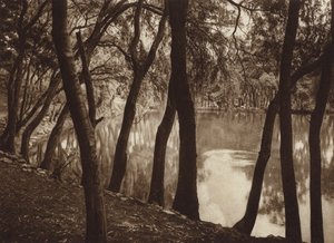 Mexico: Las fuentes de Tlalpam D F (s/h-foto) af Hugo Brehme