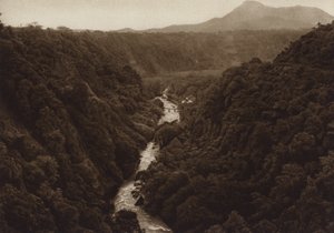 Mexico: Orizaba, Canada (s/h-foto) af Hugo Brehme