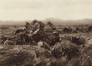 Mexico: Pedregal, Corriente de basalto-lava nær San Angel (s/h-foto) af Hugo Brehme