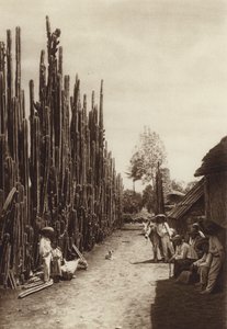 Mexico: Santiago, karakteristisk bygade med kaktusser i form af søjler (s/h-foto) af Hugo Brehme