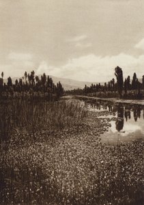 Mexico: Xochimilco, en af hovedkanalerne (s/h-foto)
