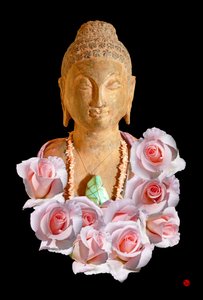 BUDDHA af Hugo Nefe