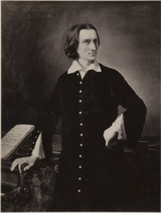 Portræt af Franz Liszt af Hungarian School