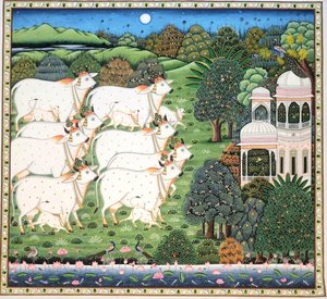 Sacred Cows Moonlit Palace