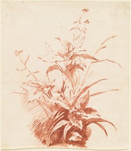 Blomstrende plante med græs af I Jean Baptiste Hüet
