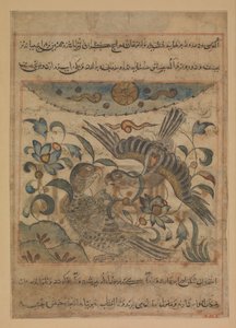 Par ørne, folio fra en Manafi