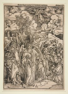 Kopi efter Durer af Ieronimus von Frankfurt Greff