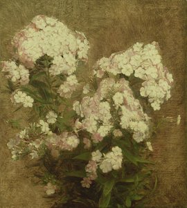 Phlox, 1870 af Ignace Henri Jean Fantin Latour