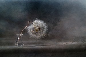  af Igor Kopcev