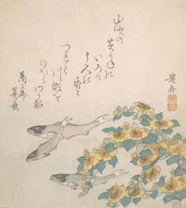 Fisk, der svømmer med gule blomster, ca. 1830. af Ikeda Eisen
