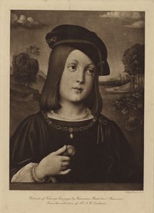 Portræt af Federigo Gonzaga