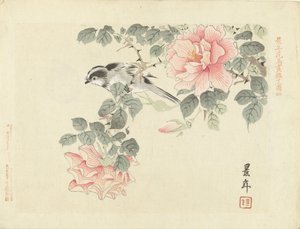 Sort og hvid fugl mellem lyserøde roser Blomster- og fugleskitser af Keinen (serietitel) Keinen kacho gafu (serietitel på objekt)