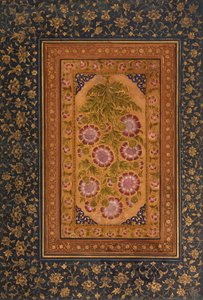Albumside med Stokesia og portræt af Abdul Rahim Khan-e Khanna, ca. 1800 (ugennemsigtigt wc & guld på papir)